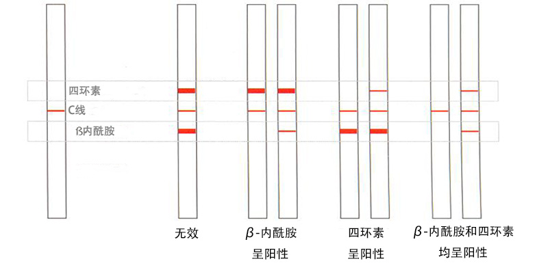 1649904211137255.jpg Twinsensor test kit-中文細節(jié).jpg